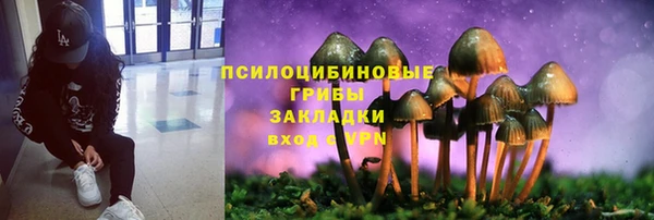 дурь Киренск