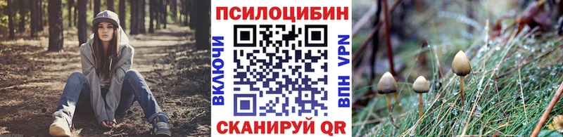 Псилоцибиновые грибы Cubensis  закладка  Чёрмоз 