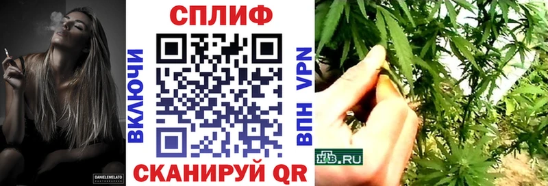 Конопля гибрид  Чёрмоз 